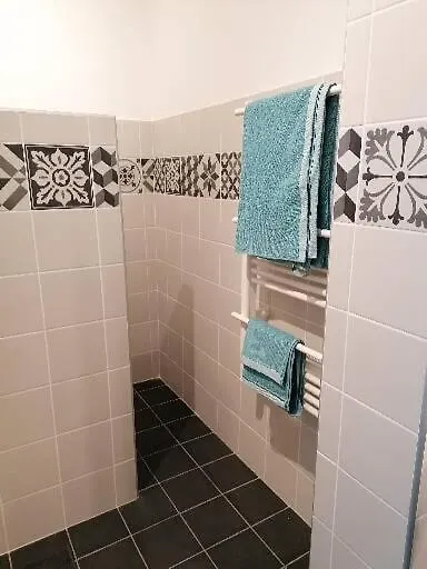 Appart'D'Oie Apartment Toulouse France